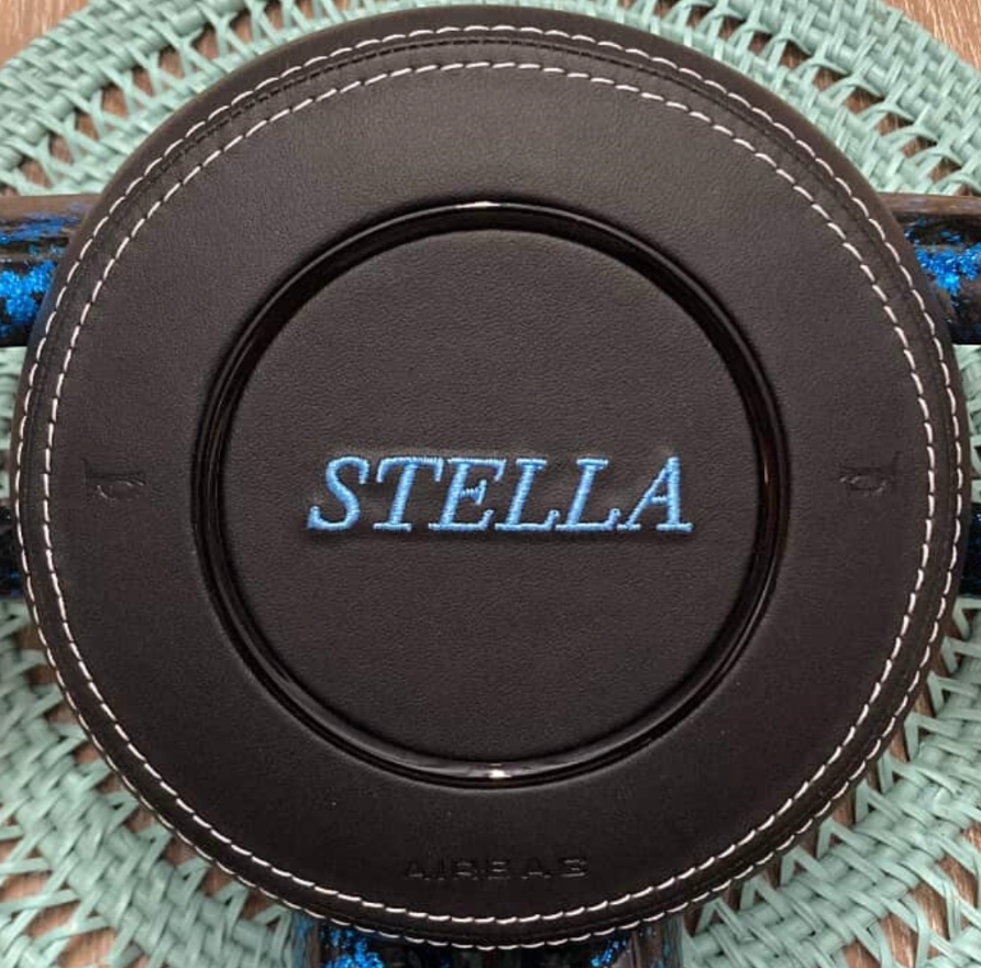 Upgrade — Airbag Cover (Custom Logo)